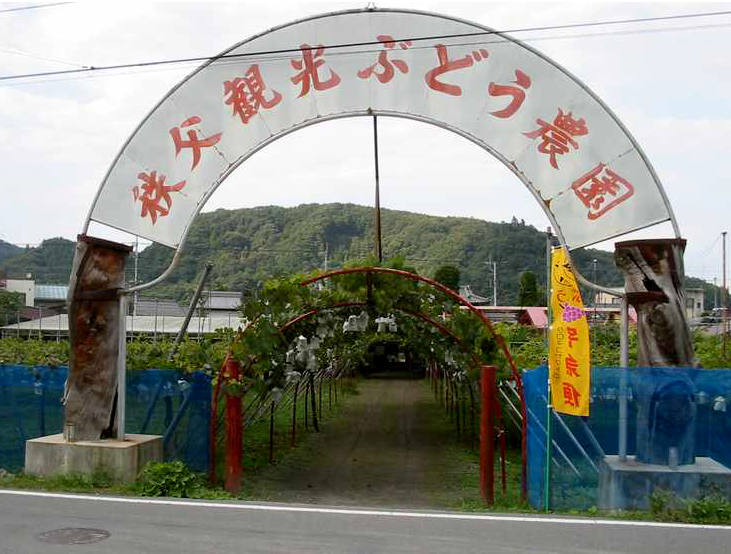 FARM
